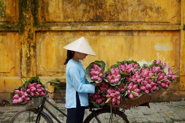 Hotel Meliá Hanoi (Ha Noi )